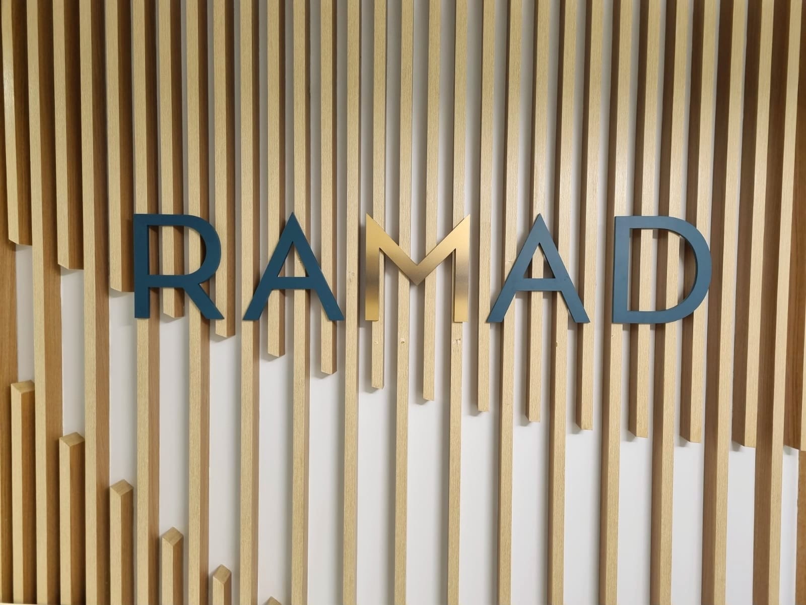 RAMAD Desktop Slide 4